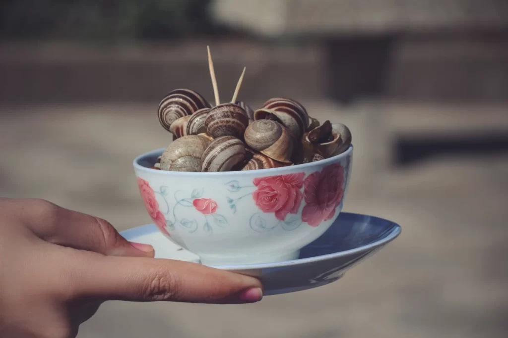 snail soup scaled e1691275915641